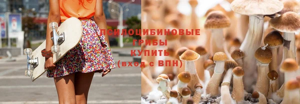 2c-b Покров